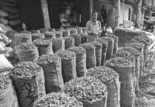 রাঙ্গুনিয়ায় পাহাড়ি হলুদের বিশাল বাজার