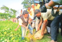 তারেক রহমানের নেতৃত্বে জিয়ার অসমাপ্ত কাজ শেষ হবে : এমপি হুমাম কাদের