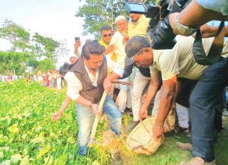 তারেক রহমানের নেতৃত্বে জিয়ার অসমাপ্ত কাজ শেষ হবে : এমপি হুমাম কাদের