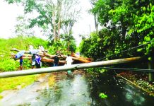 কালবৈশাখীতে বিভিন্ন স্থানে ব্যাপক ক্ষতি