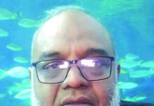 সৌরবিদ্যুৎ এবং দেশীয় গ্যাস অনুসন্ধান ও উত্তোলনের দিকে নজর দিতে হবে