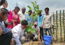 ৫ বছরে ৪১ হাজার বৃক্ষ লাগাবে রাঙ্গামাটি সড়ক বিভাগ