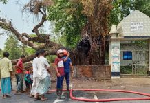 বাঁশখালীতে জীবন্ত গাছে জ্বলছে আগুন, উড়ছে ধোঁয়া