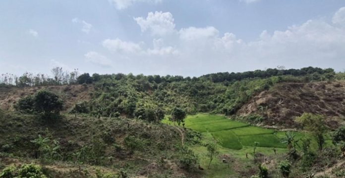 Screenshot 2026-04-08 133113