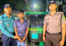 চট্টগ্রামে মলম পার্টির সদস্য গ্রেপ্তার, সিএনজি জব্দ