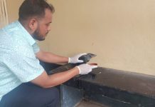 বাঁশখালী হাসপাতালে চিকিৎসা নিতে হাজির অসুস্থ কাক!