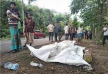 লোহাগাড়ার সেই জাঙ্গালিয়ায় সড়ক দুর্ঘটনা, এবার মাইক্রো খাদে পড়ে নিহত ৩