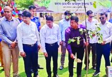 জলবায়ু সহনশীল পার্ক হিসেবে গড়ে তোলার লক্ষ্যেই এ উদ্যোগ : ডিসি