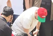 হল্যান্ড থেকে