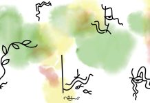 অনন্ত সন্ন্যাস