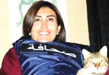 লেবাননে ইসরায়েলি হামলায় সাংবাদিক নিহত