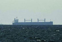 ইরাকের জাহাজের জন্য হরমুজ প্রণালি খুলে দিল ইরান