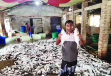 সাগরে এক টানেই উঠল শত মণ ইলিশ, ৩৩ লাখে বিক্রি