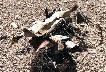 ইরানে মার্কিন যুদ্ধবিমান বিধ্বস্ত