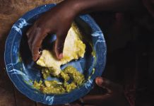 জ্বালানি খরচ বাড়ায় মার্চে বিশ্বজুড়ে খাদ্যের দাম বেড়েছে ২.৪ শতাংশ