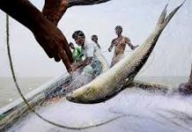 সাগরে মাছ ধরা বন্ধ ১৫ এপ্রিল থেকে