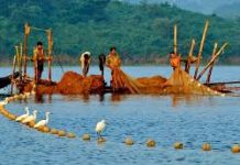 শনিবার থেকে কাপ্তাই হ্রদে সব ধরনের মাছ ধরা বন্ধ