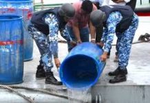 কর্ণফুলীতে ৬ কোটি টাকার চিংড়ি রেণু জব্দ