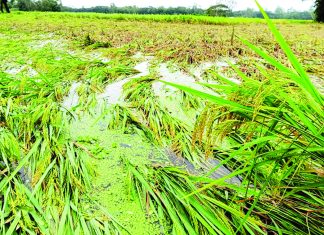 দুদিনের কালবৈশাখী, বিপর্যস্ত মীরসরাইয়ের জনজীবন