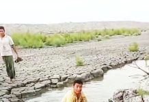 মীরসরাই অর্থনৈতিক অঞ্চলে হরিণ জবাই