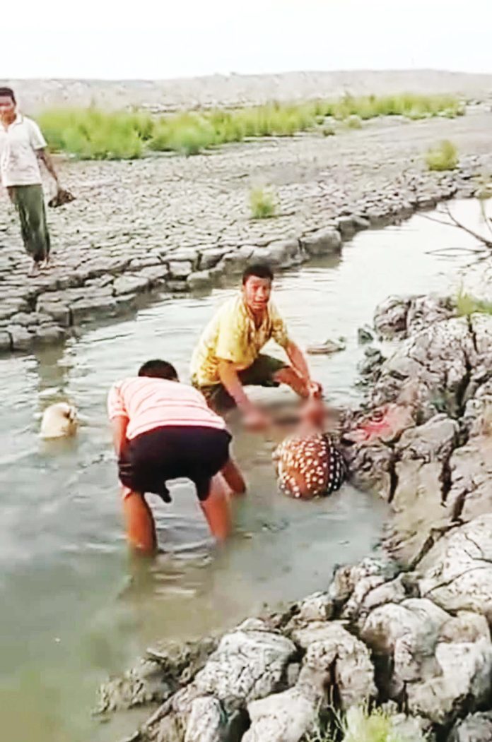 mirsarai upokul horin 0000000000000000000000