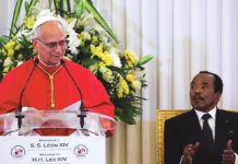 ধনী ও প্রভাবশালীরা শান্তিকে হুমকিতে ফেলছে : পোপ লিও