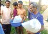 হালদার রেণু বিক্রি শুরু হচ্ছে আজ
