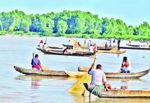 হালদায় মা মাছ নমুনা ডিম ছেড়েছে