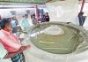 হালদাপাড়ে রেণু ফোটানোর ব্যস্ততা