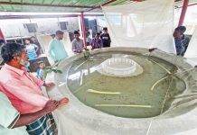 হালদাপাড়ে রেণু ফোটানোর ব্যস্ততা