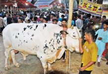 হাটে হাটে ঘুরছেন ক্রেতারা, বেচাবিক্রি জমেনি