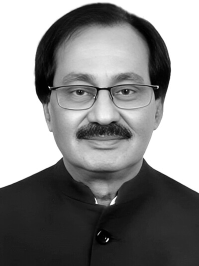 Advocate Horipad Shok