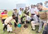 সিডিএর বৃক্ষরোপণ কর্মসূচির উদ্বোধন