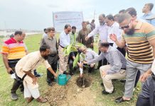 সিডিএর বৃক্ষরোপণ কর্মসূচির উদ্বোধন