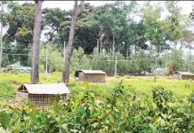 চকরিয়ায় বনভূমি দখল, স্থাপনা নির্মাণ