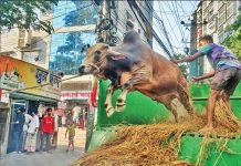 চট্টগ্রামে এবার পশু প্রস্তুত ৭ লাখ ৮৩ হাজার