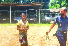 বেয়াইনকে ধর্ষণ চেষ্টার পর হত্যার অভিযোগ, বেয়াই গ্রেপ্তার