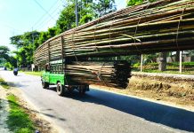 অতিরিক্ত বাঁশ বোঝাই করে ঝুঁকিপূর্ণ চলাচল