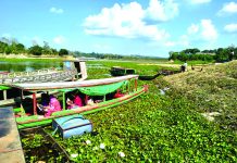কাপ্তাই লেকে কচুরিপানার ‘দাপট’