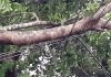 ঝড়ে চার উপজেলায় ৬০ লাখ টাকার ক্ষতি, ১০৫ ট্রান্সফরমার বিকল