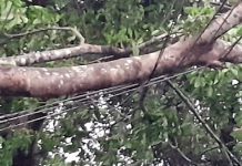 ঝড়ে চার উপজেলায় ৬০ লাখ টাকার ক্ষতি, ১০৫ ট্রান্সফরমার বিকল