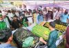 ফিরলেন কফিনে, শায়িত পাশাপাশি