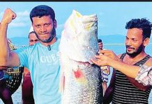 নাফ নদীতে জেলের জালে ২৫ কেজির কোরাল