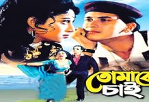 সালমান-শাবনূর জুটির ‘তোমাকে চাই’ দেখা যাবে বড় পর্দায়