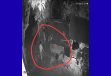 ফটিকছড়ি পৌরসভায় কোরবানির পশুসহ ২টি গরু চুরি
