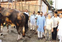 প্রাকৃতিক খাবারে বিশালদেহী ‘গফুর’