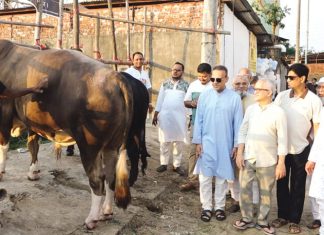 প্রাকৃতিক খাবারে বিশালদেহী ‘গফুর’