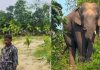 রামুতে বন্যহাতির আক্রমণে প্রাণ হারালেন মা-মেয়ে
