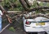 ঝড়ে লণ্ডভণ্ড উত্তর প্রদেশ, নিহত শতাধিক