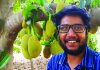 ওমানের মরুতে কাঁঠাল ফলিয়ে আলোচনায় আনোয়ারার সেলিম